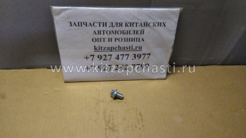 Пробка картера двигателя FY11 GEELY MONJARO KX11 101605770551